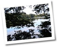bilder-remise-016.png