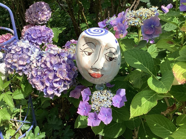  Blick in den Garten